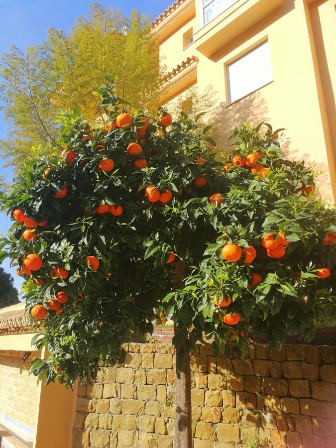 Apartment Princess Park, Mijas Sitio de Calahonda Luaran gambar
